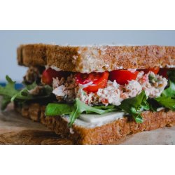 biogan - Bio-Jackfrucht in Salzlake