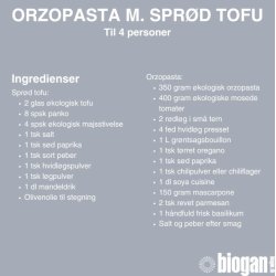 biogan - Organic orzo pasta