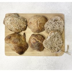 biogan - kologisk surdejspulver