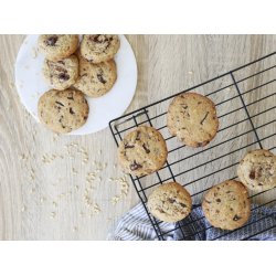 biogan - kologiske havreris