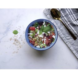 biogan - kologiske havreris