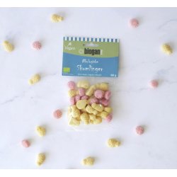 biogan - Organic fruit foam candy - vegan