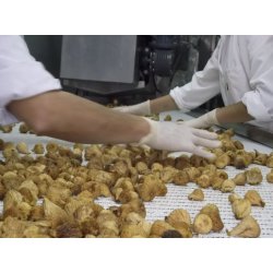 biogan - kologiske baby figner