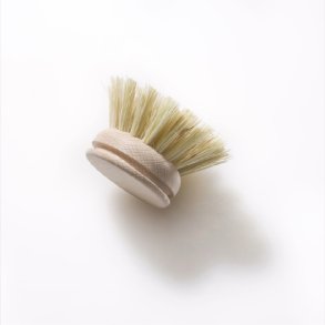 biogan - Splbrstenkopf