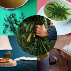 Bornholmerhampen - biodynamic Nordic herbal tea