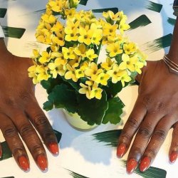 PRITI NYC - N436 - Buttercrisp Orchid - Autumn | Winter Collection 2025-26