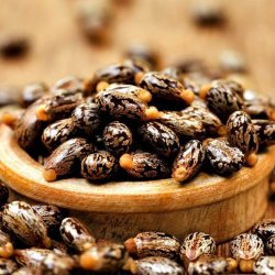 Alteya Organics - Bio Castor Oil