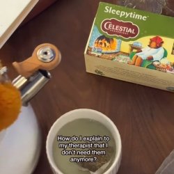 Celestial Seasonings - Sleepytime Tea