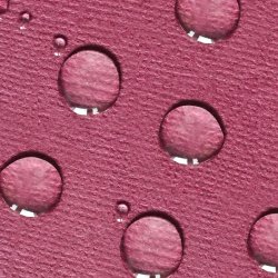 endro cosmtiques - Bio Facial Cleansing Oil