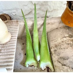 GreenEtiq Denmark - Bio 98% Pure Aloe Vera Gel