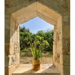 GreenEtiq Denmark - Bio 98% Pure Aloe Vera Gel