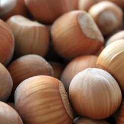 Alteya Organics - Bio Hazelnut Oil