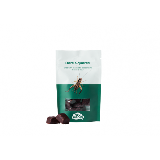 hey planet -  Chocolate DareSquares with Peppermint &amp; Crickets
