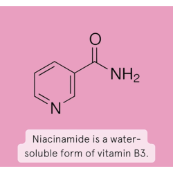 /kili&#8729;g/ - Probiotics &amp; Niacinamide - face serum