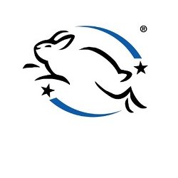 PRITI NYC - N647 - Sea Holly 