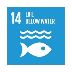 Danish Seaweed - Socker torkad tng