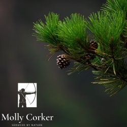 Molly Corker - Natural deodorant stick - Lime | Pine | Rosemary - Hunter