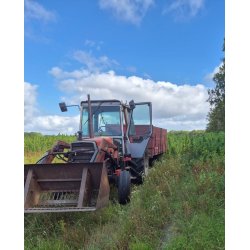 NORDISK URTETE - N8 - LVENS HAMPETE 