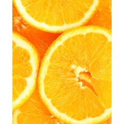 Nurme - Hand &amp; Bodylotion - Sea Buckthorn