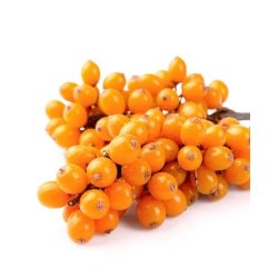 Nurme - Hand &amp; Bodylotion - Sea Buckthorn