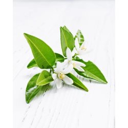 Nurme - Body wash - energising