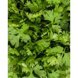 Nurme - Body wash - warming