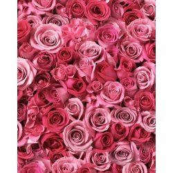 Nurme - Delicate cleansing foam - Damask Rose