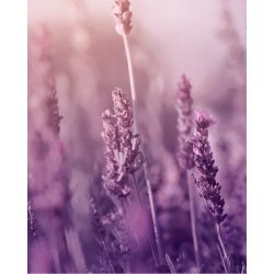 Nurme - Hand wash - soothing