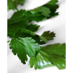 Nurme - Hand wash - warming