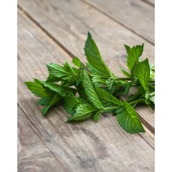 Nurme - 100% Peppermint essential oil