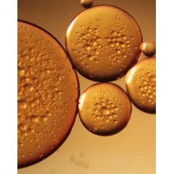 Nurme - Pure Carrot Oil