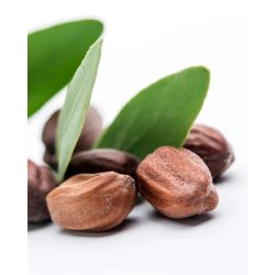 Nurme - Pure Jojobaoil