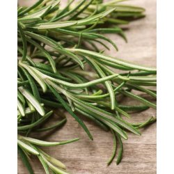 Nurme - shampoo - rosemary