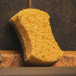 Pandoo - 2-pack Household sponges