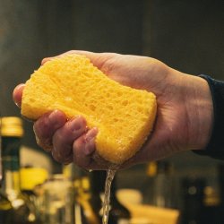 Pandoo - 2-pack Household sponges