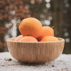 Pandoo - Bamboo Bowl - Medium