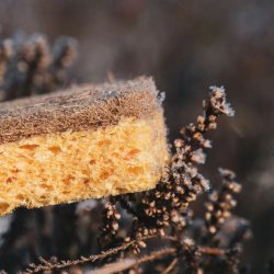 Pandoo - 2-pack Household sponges