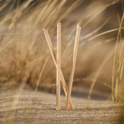 Pandoo - Disposable Straws - Zero Waste