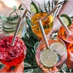 Pandoo - Disposable Straws - Zero Waste