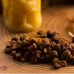 Propolia - kologisk BiBrd