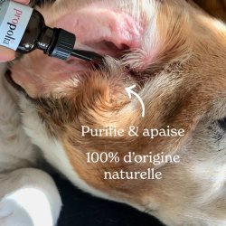 Propolia� - Ear Care For Pets
