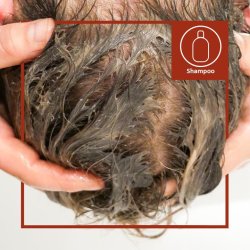 puremetics - Ghassoulpulver