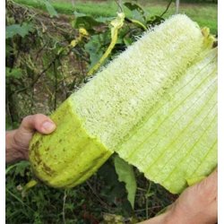 Puremetics - Loofah sbeunderlag