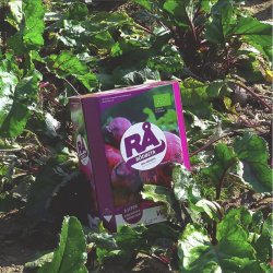 Rř - KO Rdbede - Koldpresset