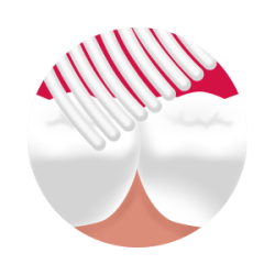 SPLAT - Blackwood whitening toothbrush - medium 