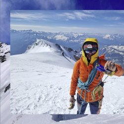 sens - Cricket protein bar - Dark Chocolate - Flavor pack