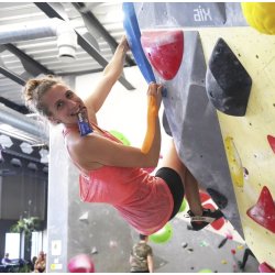 sens - Cricket protein bar - Dark Chocolate - Chocolate Brownie