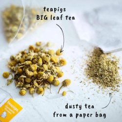 teapigs - organic chamomile flowers tea - dream on