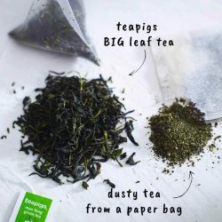 teapigs - organic mao feng green tea - green with envy