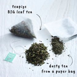 teapigs - organic peppermint leaves tea - minty fresh 